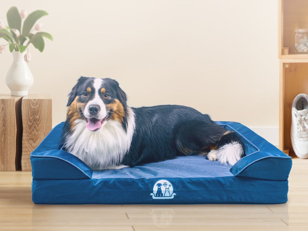 Orthopedic Dog Bed